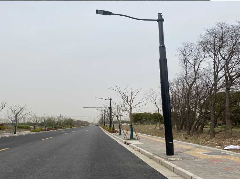 镇赉县上海综合杆 太阳能路灯工程